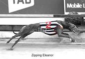 Zipping Eleanor